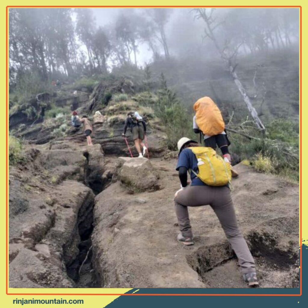 Apa yang Harus Dipersiapkan Sebelum Naik Rinjani Agar Trekking Lebih Aman dan Nyaman