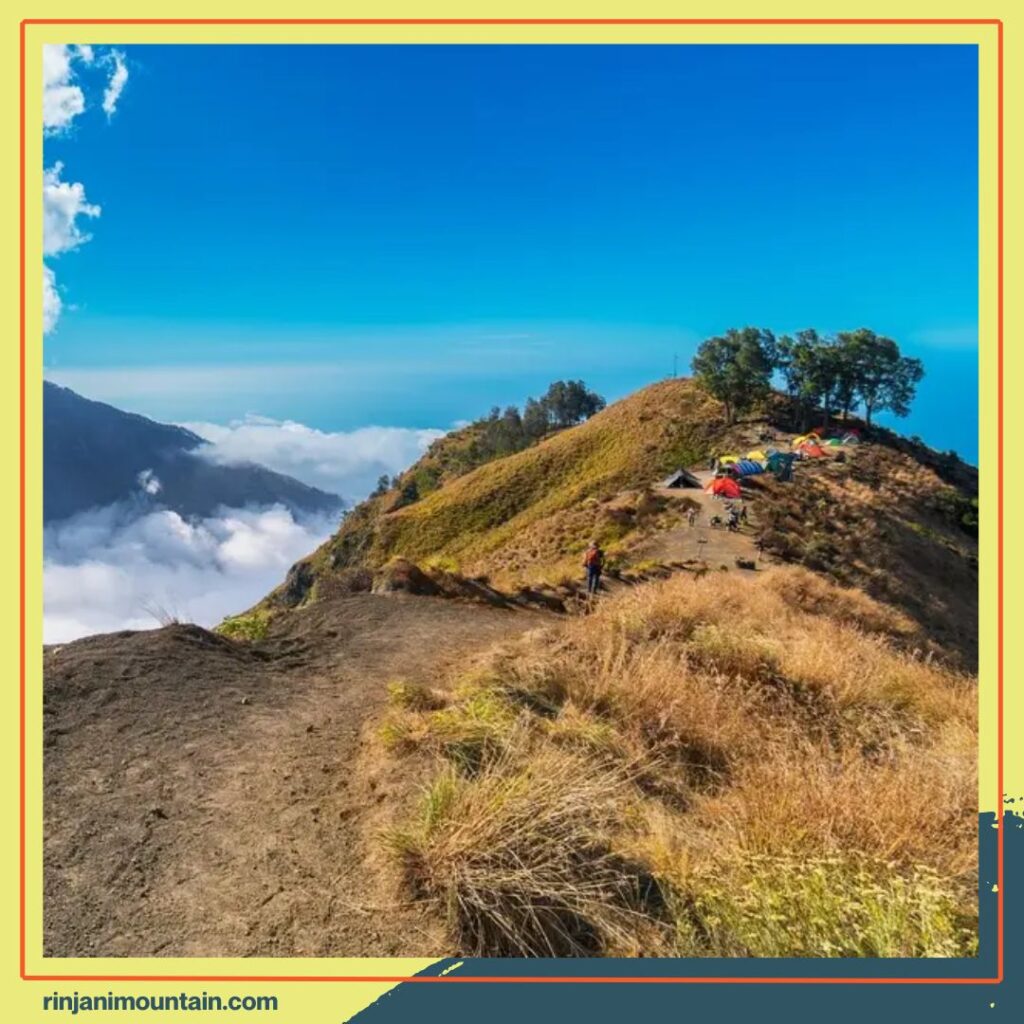 7 Alasan Memilih Rinjani untuk Hiking yang Bikin Perjalananmu Jadi Pengalaman Tak Terlupakan