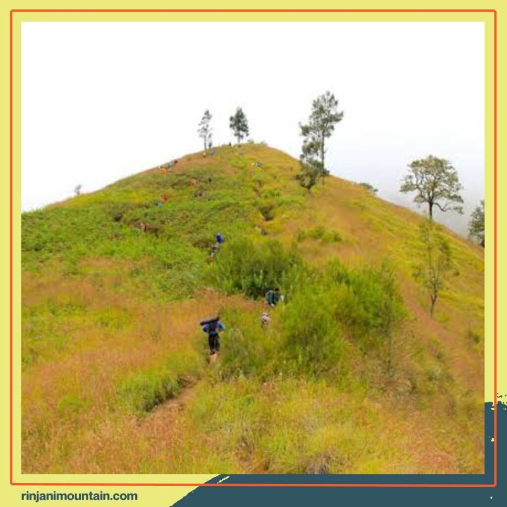 The Tense Moments of the Summit Push While Trekking Mount Rinjani, The View Gives You Goosebumps!